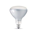LAMP/BULB FOR PARENTESI / D 1 pc(s) LED 220-240 V 12 W E27