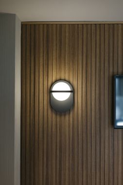 C_BALL WALL